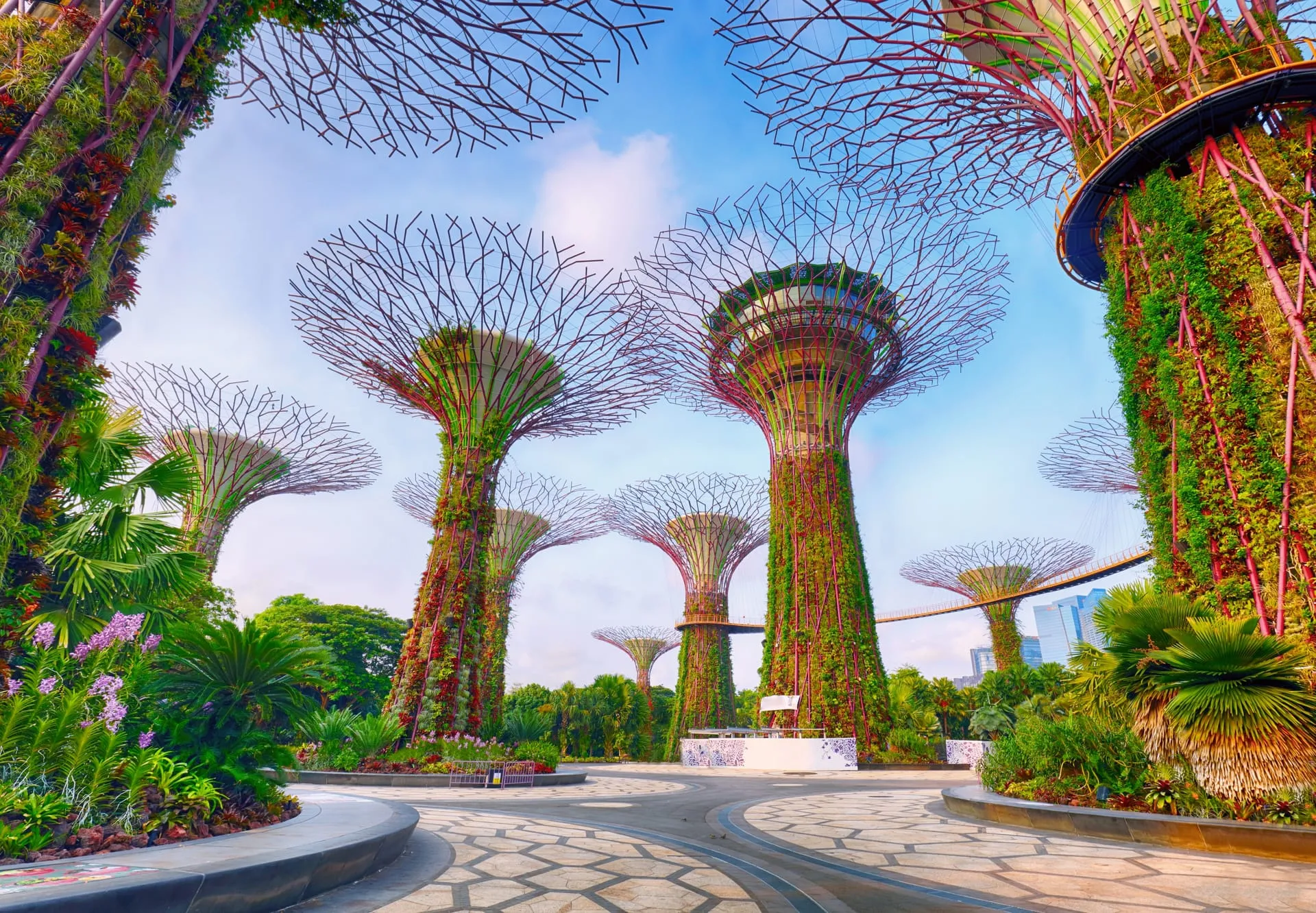 Singapore package