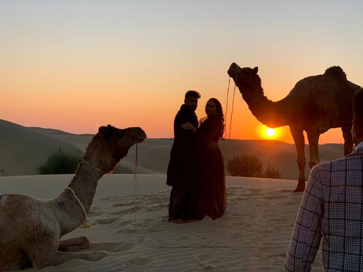 Dune bashing on Dubai desert safari