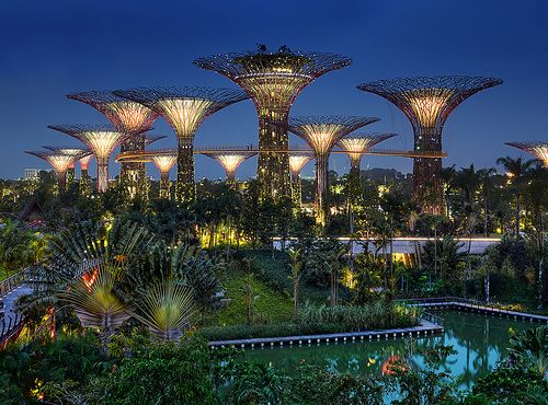Gardens by the Bay Supertree Grove at night